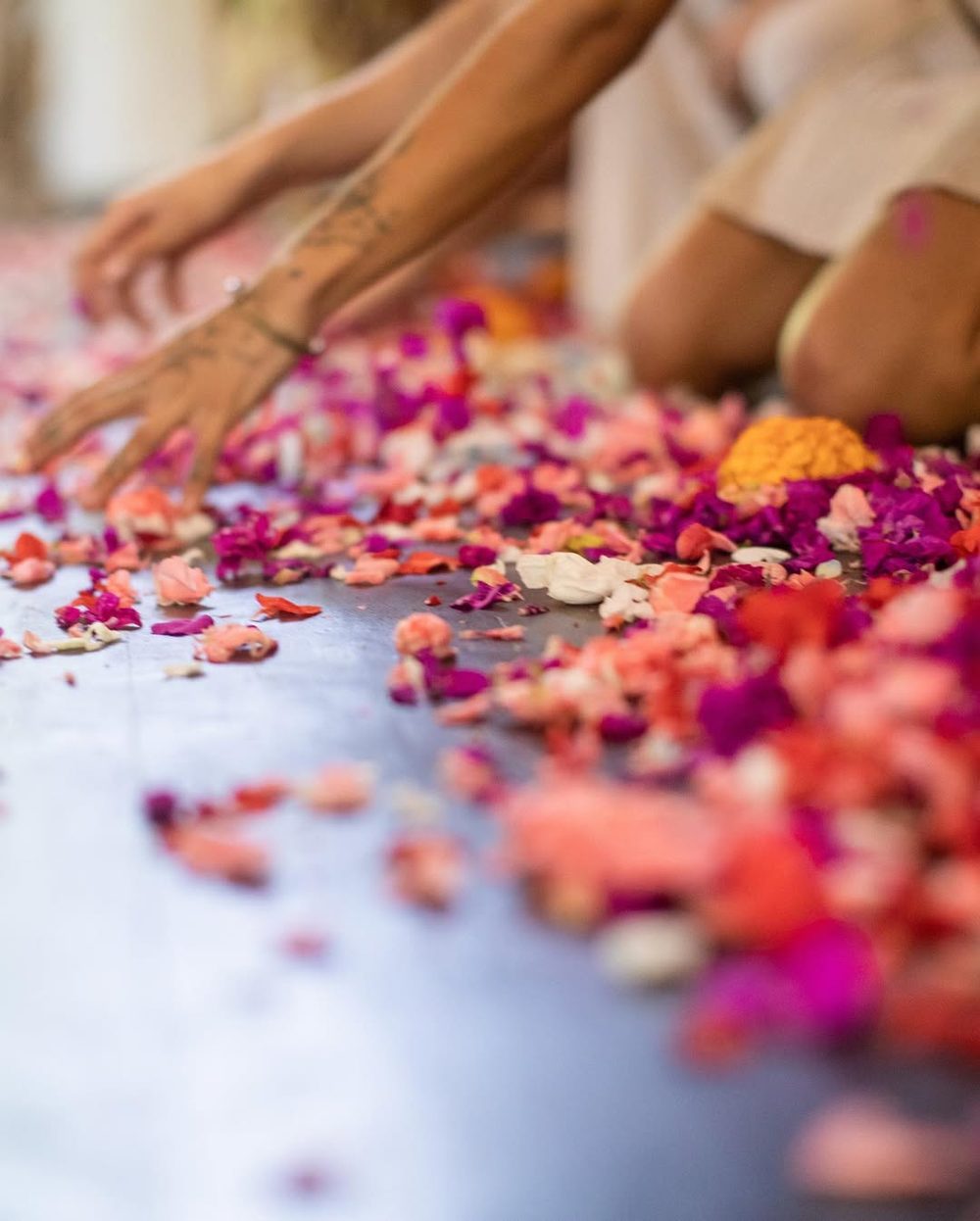 Hands arranging flower petals on a studio floor